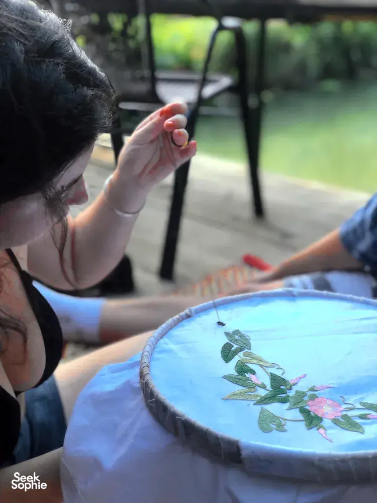 Seek Sophie option picture