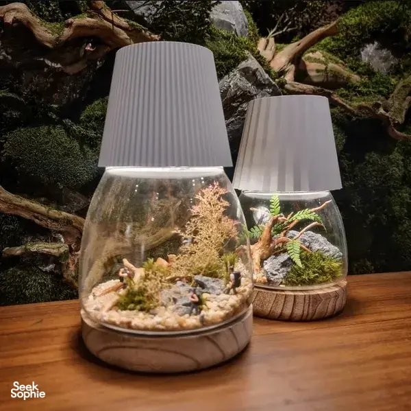 Turn a Miniature World Into a Glowing Desk Lamp