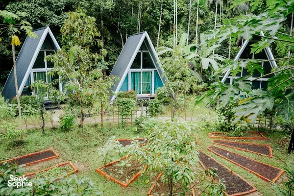 3D2N Khao Sok Family-Run Homestay + Rafthouse | Fresh Cooking