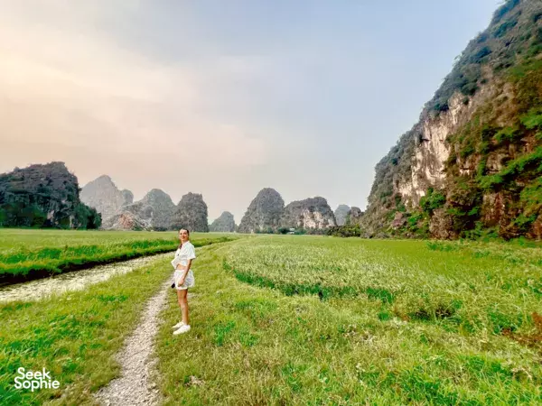Solo traveller walking along a grassy track through lush rice fields with limestone karsts in Ninh Binh