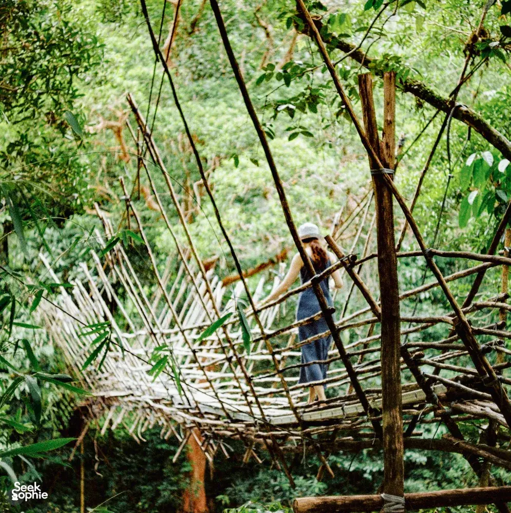 Seek Sophie option picture