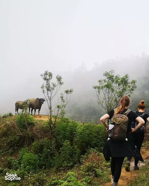 1 Day Mt Fansipan Summit | Cable Car Descent Add-On Available