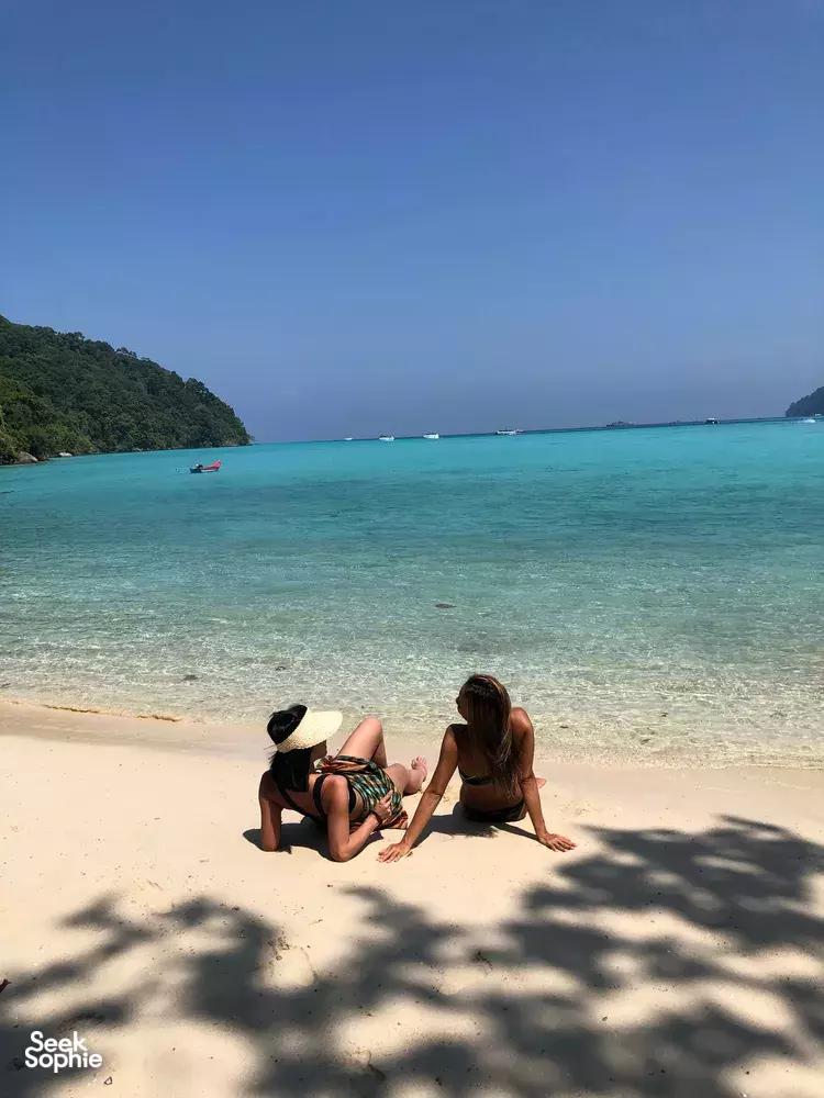 Seek Sophie option picture