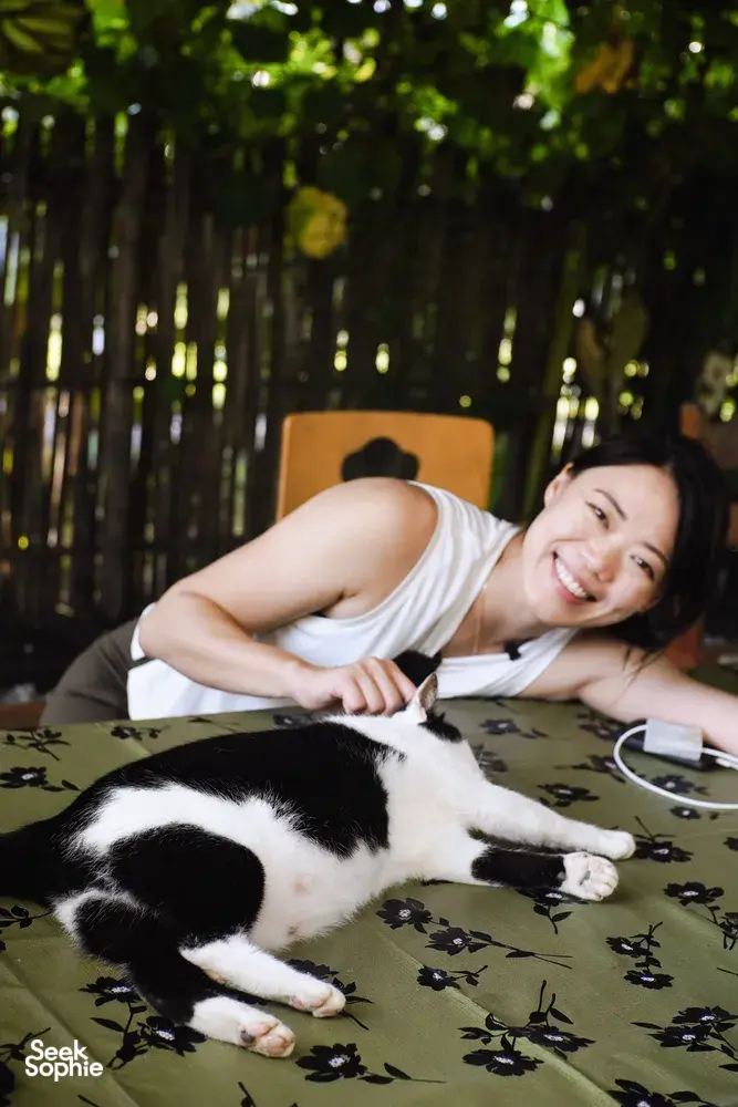 Seek Sophie option picture