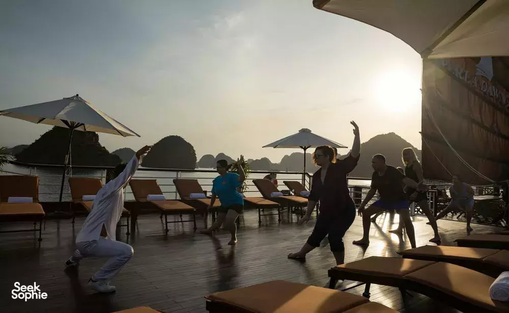 Seek Sophie option picture