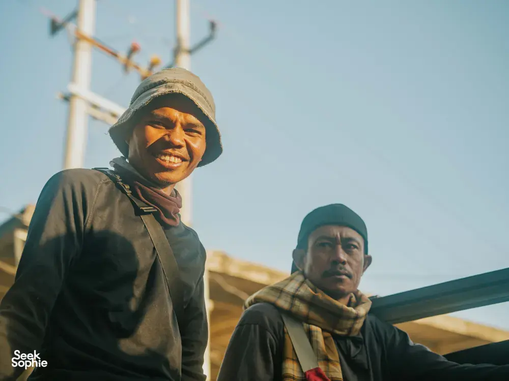 Seek Sophie option picture