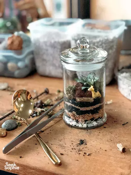 Workshop Membuat Terrarium Pribadi