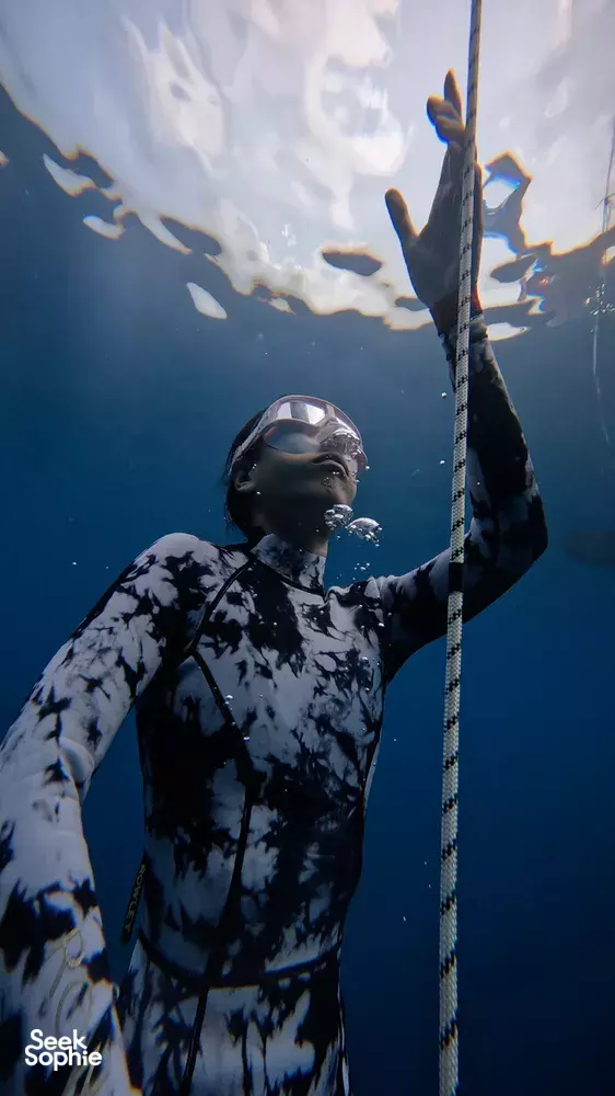 Seek Sophie option picture