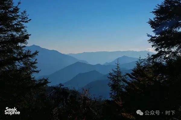 Misty mountain ridgelines across Shangri-La seen between pine trees, a calm view before a hike at sunset