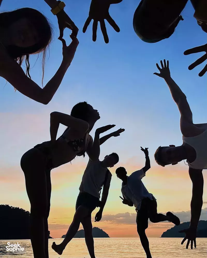 Seek Sophie option picture