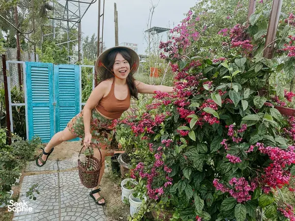 Discover the Healing Magic of Plants with Seasoned Herbalist