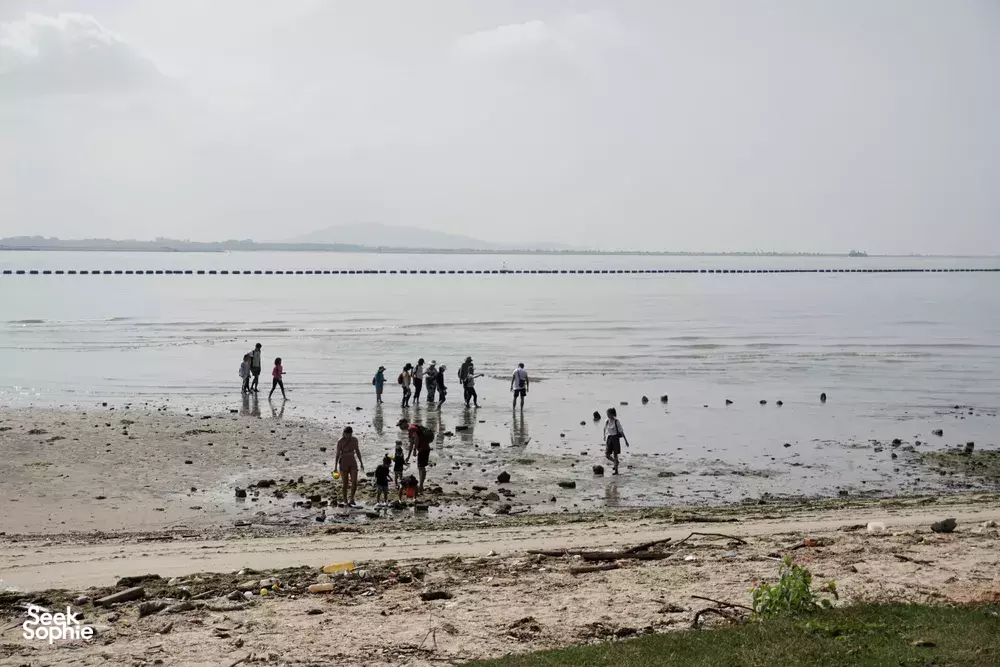 Seek Sophie option picture