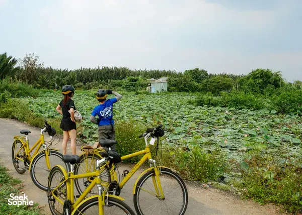 Yellow bicycles parked by a dirt path through green fields, with riders waiting on a scenic Mekong Island route near Ho Chi Minh City