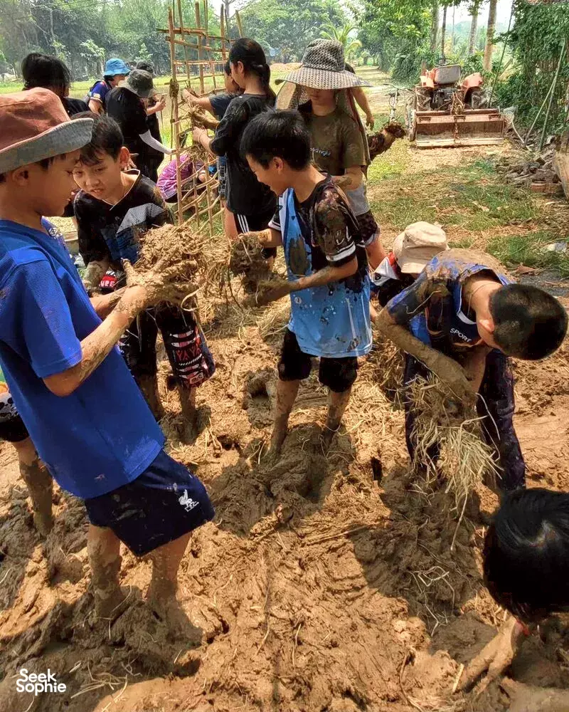 Seek Sophie option picture