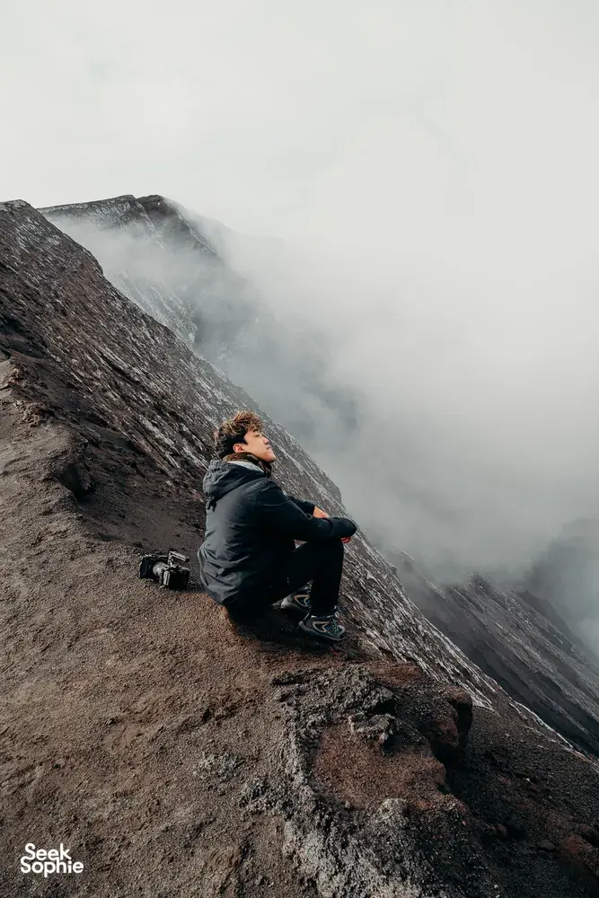 Seek Sophie option picture