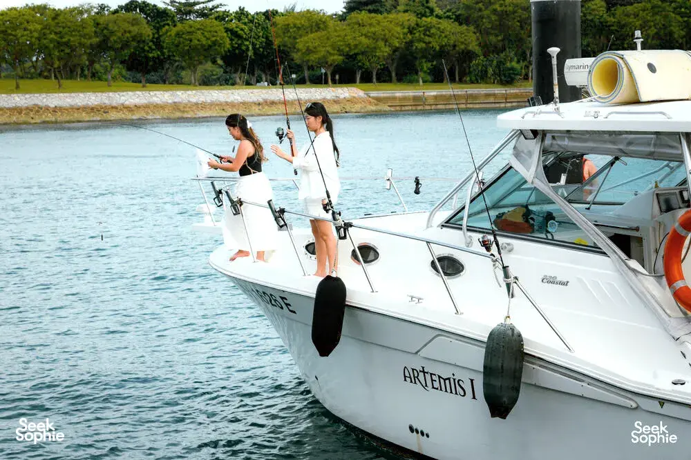 Seek Sophie option picture