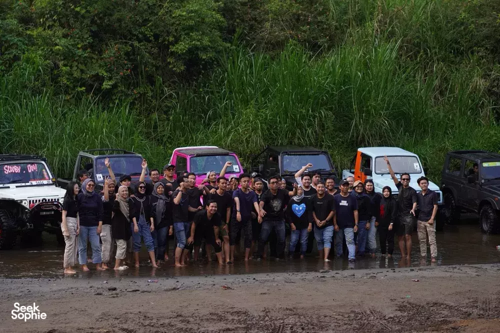 Seek Sophie option picture