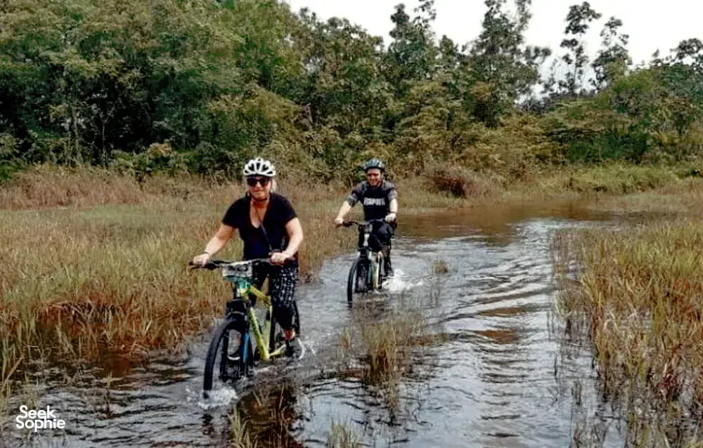 Bicyclists wading through a muddy jungle track with wetlands on either side, riding past shrubs near Kuching