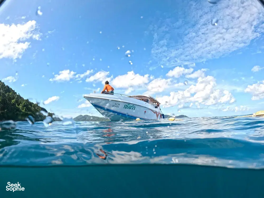 Seek Sophie option picture