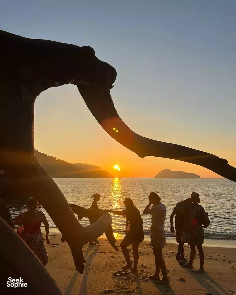 Seek Sophie option picture