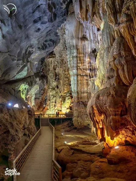 Phong Nha Easy Day Trip | Botanical Walk, Paradise Cave, Mud Bath & Zipline Fun