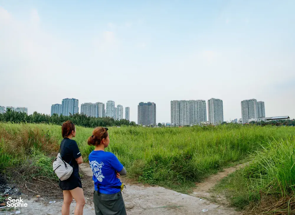 Seek Sophie option picture