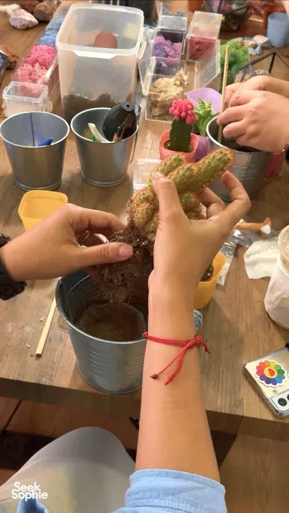 Seek Sophie option picture