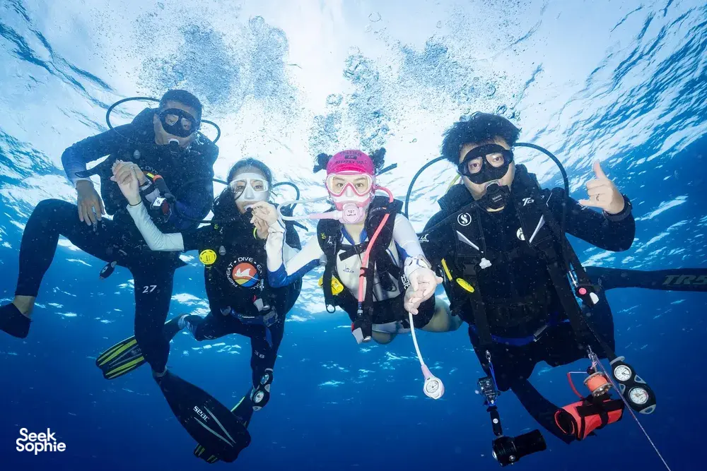 Seek Sophie option picture