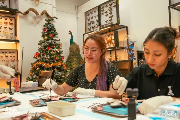 Pembedahan Katak bersama Pakar Hidupan Liar