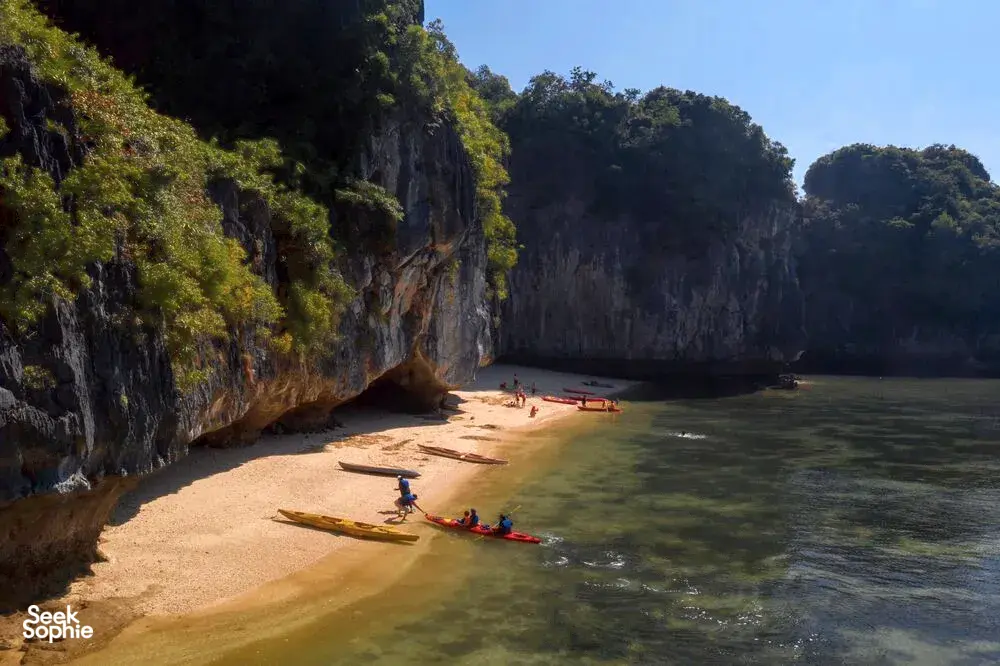 Seek Sophie option picture