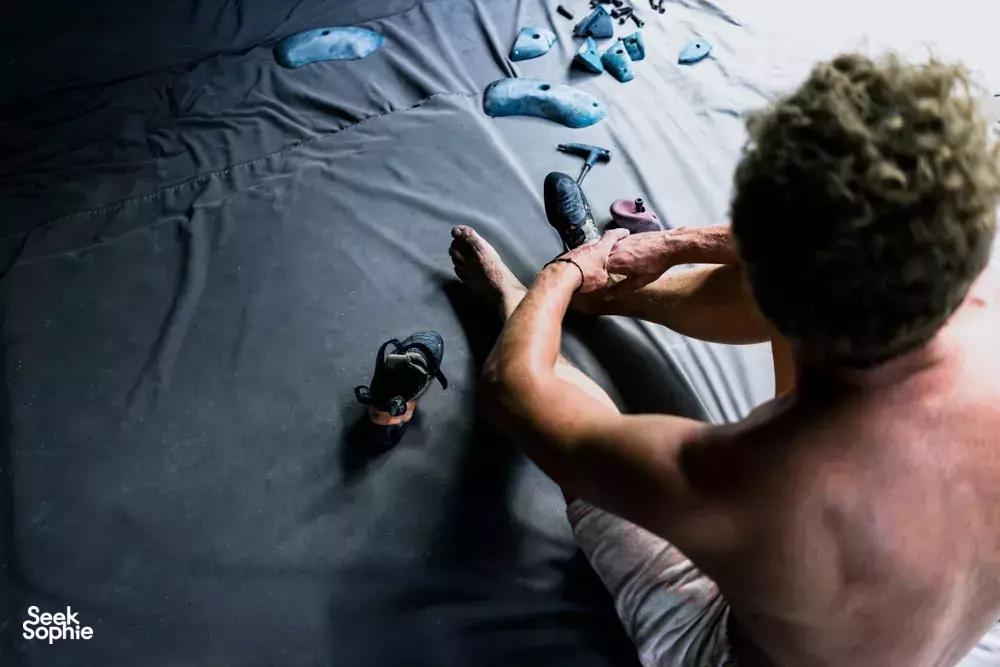 Seek Sophie option picture