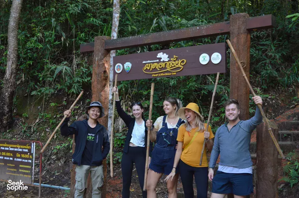 Seek Sophie option picture