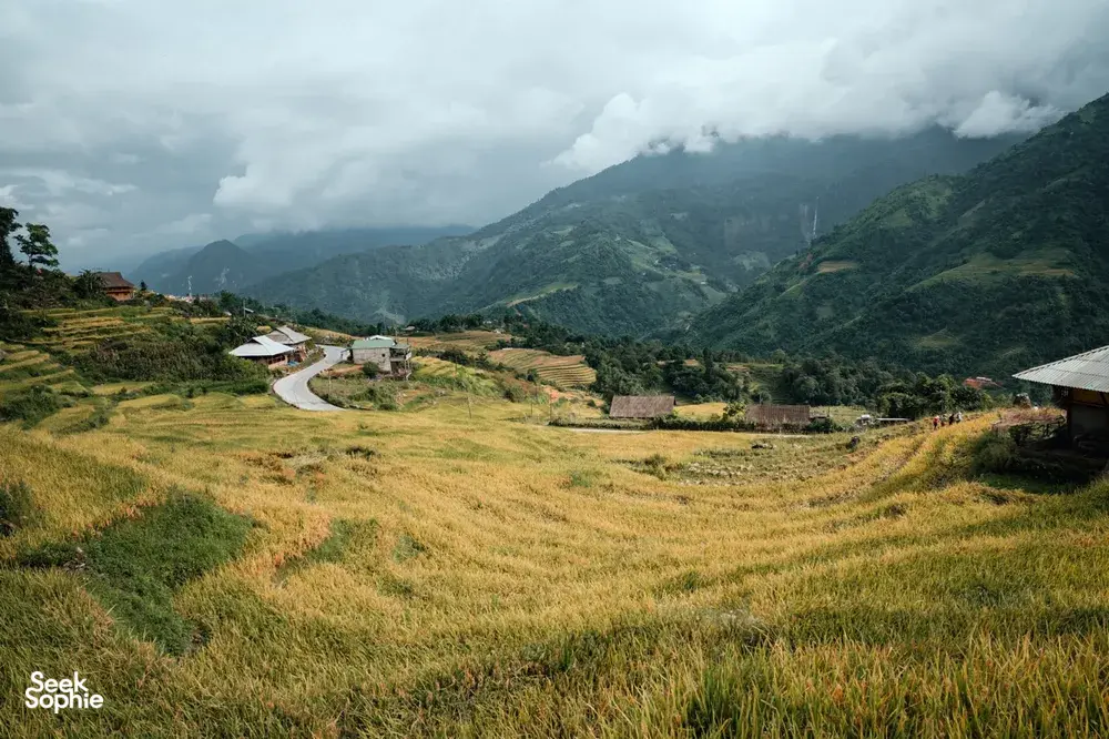 Seek Sophie option picture