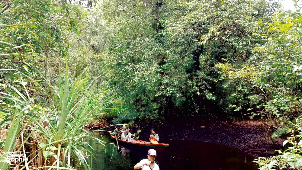 Seek Sophie option picture