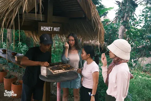 Hal Seru di Lombok Utara