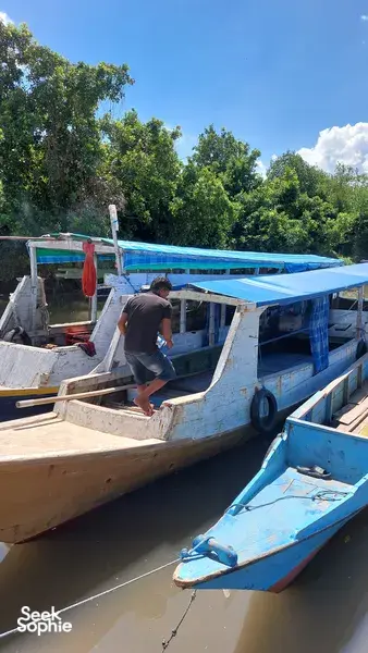 Bot kayu ringkas berlabuh di laluan bakau yang tenang, dengan dek terbuka dan kanopi, berlepas dari Labuan Bajo