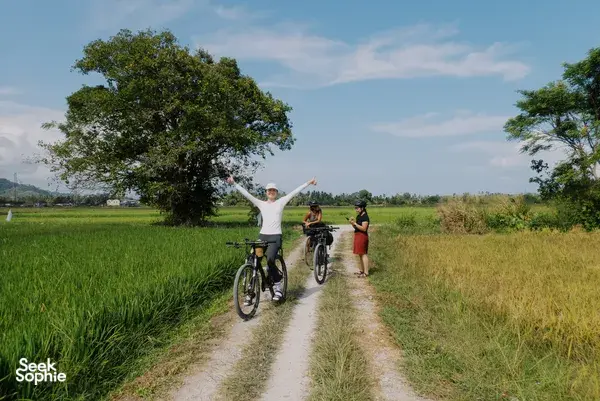 Cyclists pedal along a narrow countryside lane in Langkawi, passing bright green rice fields under a blue sky