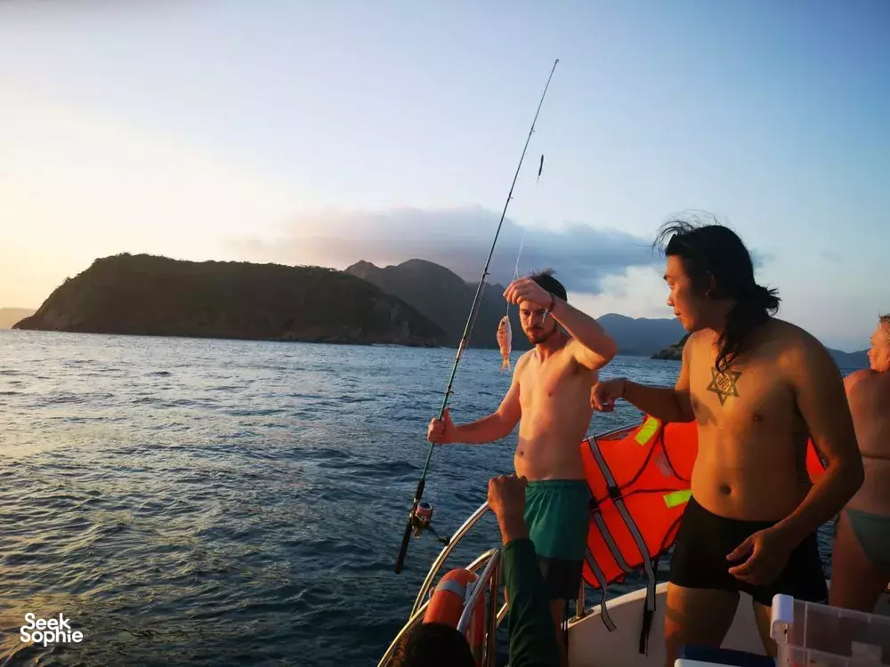 Seek Sophie option picture