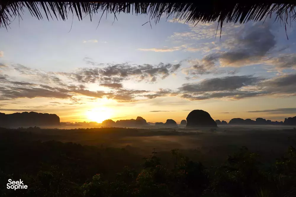 Seek Sophie option picture