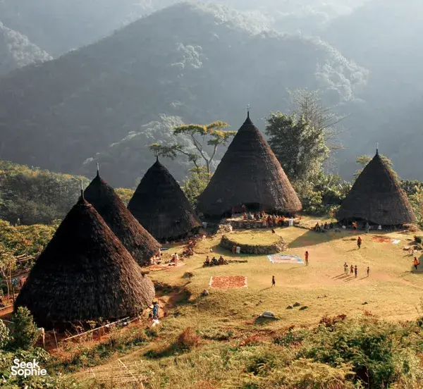 [Terjual Habis] 8H7M Petualangan Komodo Sekali Seumur Hidup