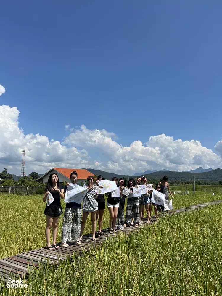 Seek Sophie option picture