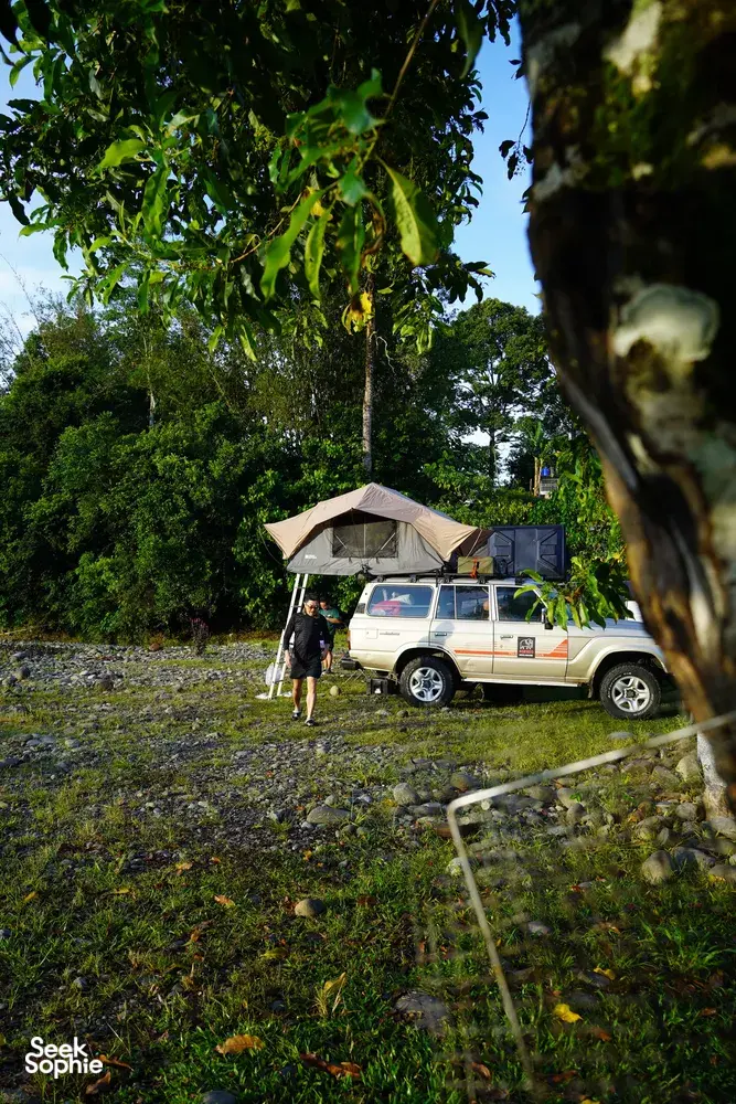 Seek Sophie option picture