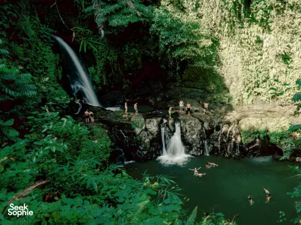 Hidden Ubud Waterfalls with Lunch Overlooking Falls!