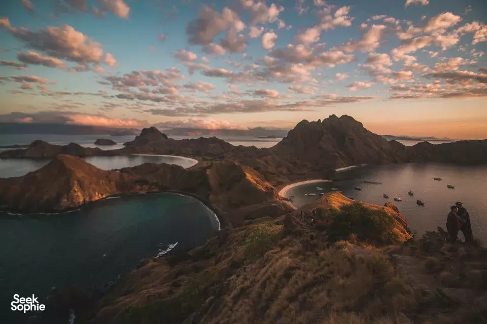 Seek Sophie option picture