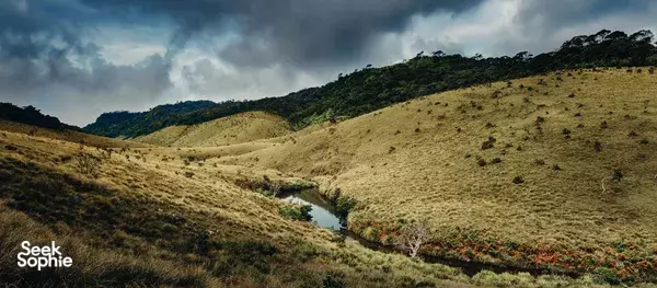 6H Sunrise Hike to World's End Cliff | Horton Plains 