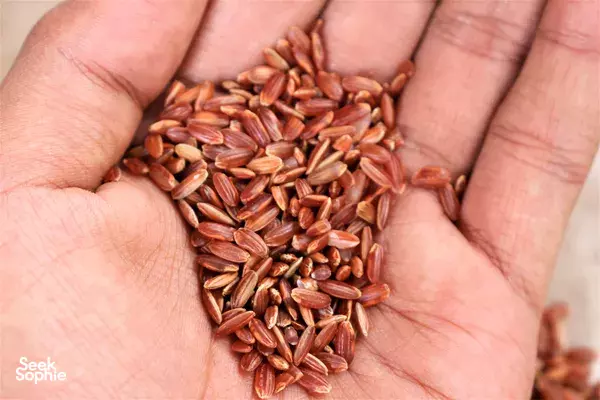 Handful of reddish grains resting in an open palm during a village learning experience with Five Pillar in Bali
