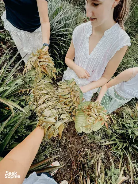 3D2N Immersive Sarawak village stay | Semenggoh, Longhouse & Cooking