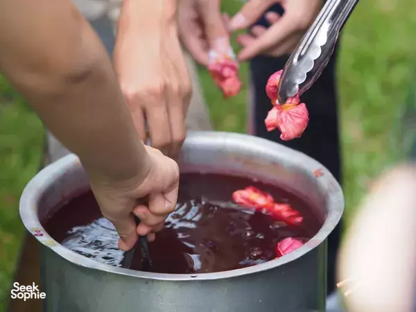 1 Day Chiang Mai Retreat: Earth-Building, Mindfulness & Eco-Dyeing