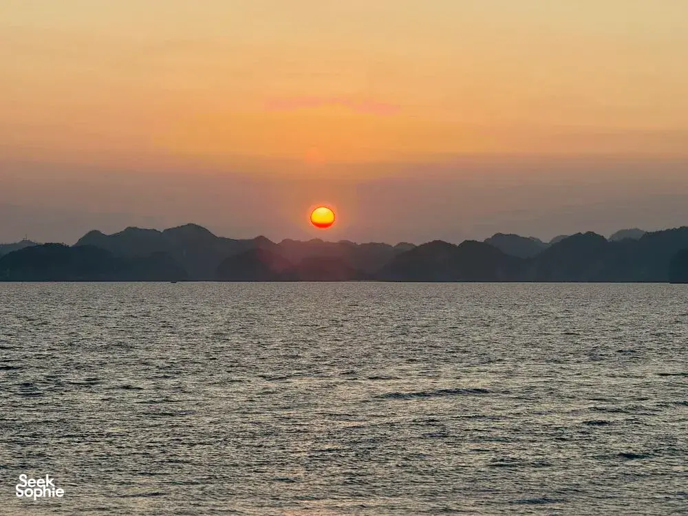 Seek Sophie option picture