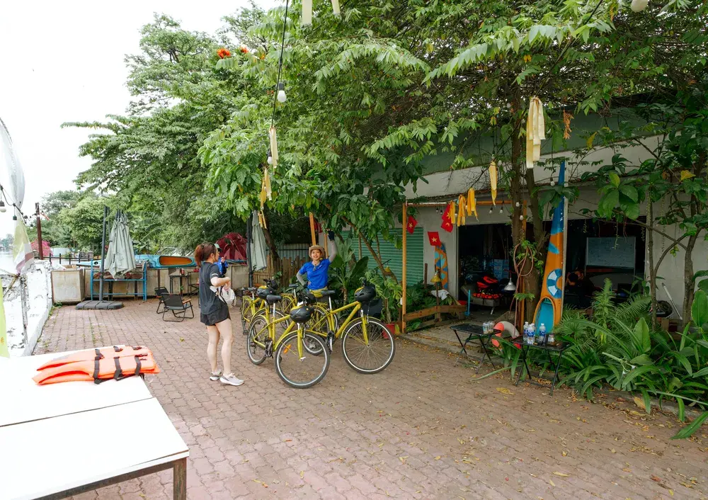 Seek Sophie option picture